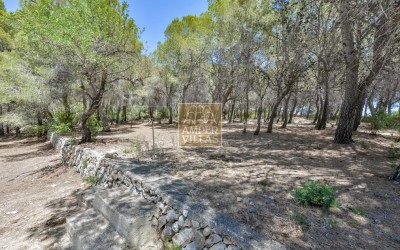 Villa exclusiva en Altea con privacidad absoluta en un entorno natural.